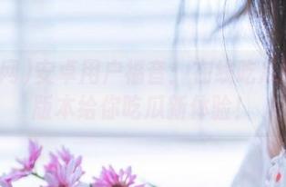 安卓用户福音：在线吃瓜网最新版本给你吃瓜新体验！
