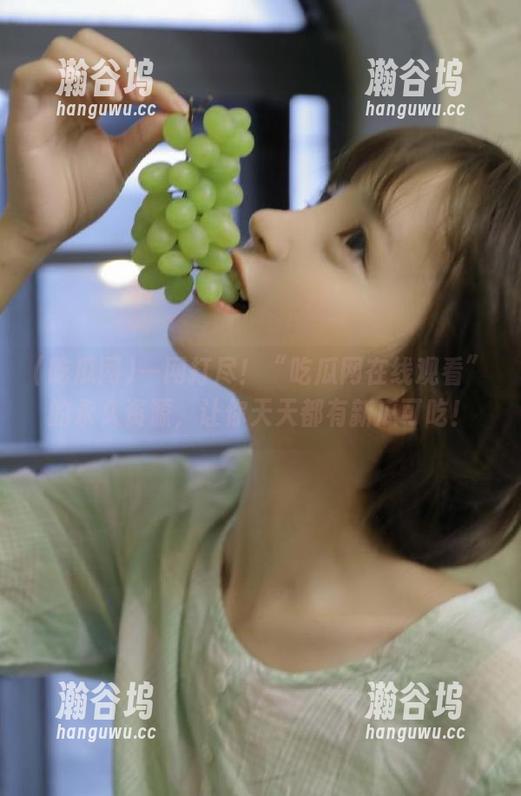 一网打尽！“吃瓜网在线观看”的永久资源，让你天天都有新瓜可吃！