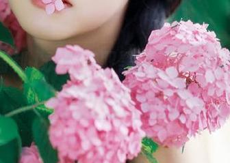 永久获取黑料福利，揭开明星八卦的真相与内幕
